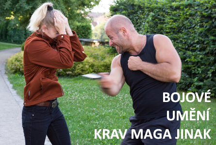 BOJOVÉ UMENÍ KRAV MAGA JINAK